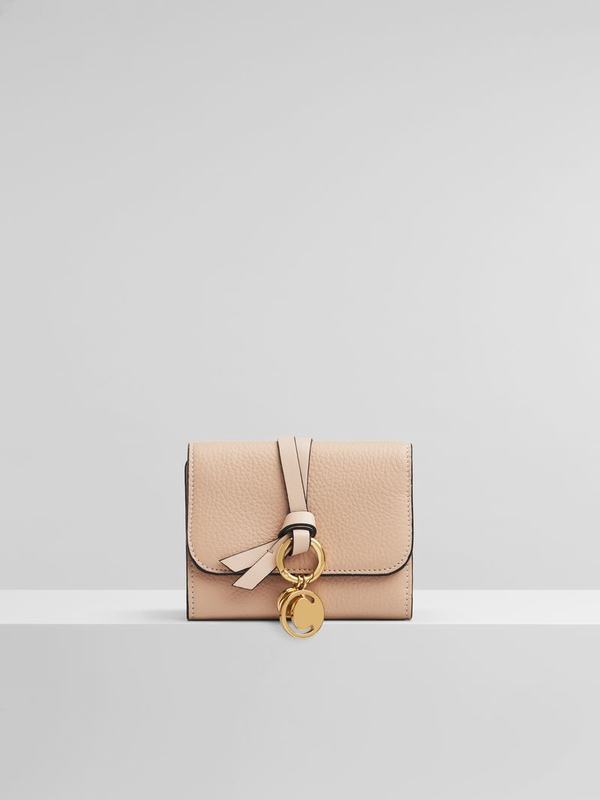 Chloé Carteras Mujer Alphabet Beige Calfskin RAWV63412